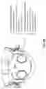Fig. 90 - SMART MASKS