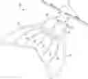 Fig. 01 - Monofin swimming device