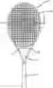 Fig. 01 - RACKET WITH VIBRATION DAMPENER