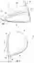 Fig. 04 - Faceplate of a golf club head