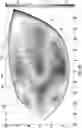 Fig. 19 - Faceplate of a golf club head