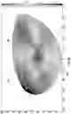Fig. 24 - Faceplate of a golf club head