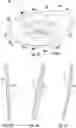 Fig. 25 - Faceplate of a golf club head
