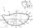 Fig. 01 - Variable thickness face plate for a golf club head