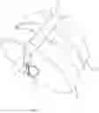Fig. 05 - Carrier straps for weight plates