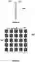 Fig. 07 - ADVANCED SYSTEM FOR PHYSICAL CONDITIONING AND SPORTS TRAINING