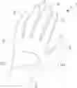 Fig. 01 - Sport Glove