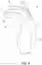 Fig. 05 - Sport Glove