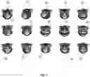 Fig. 06 - Interactive animatronic game/device partner and method for using same