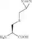 Fig. 103 - COMPACT HYDROXAMATE-BASED AFFINITY TAGS FOR ARTIFICIALLY TAGGING BIOLOGICAL MACROMOLECULES