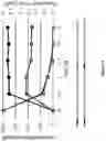 Fig. 18 - Fluid purification filters and the method of fluid purification using the same