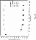 Fig. 32 - Fluid purification filters and the method of fluid purification using the same