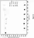 Fig. 33 - Fluid purification filters and the method of fluid purification using the same