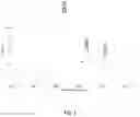 Fig. 02 - Supported hydrotreating catalysts having enhanced activity