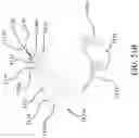 Fig. 59 - Self-Contained Nucleic Acid Processing