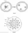 Fig. 07 - HIGH-THROUGHPUT PARTICLE CAPTURE AND ANALYSIS