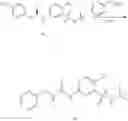 Fig. 50 - RAD51 INHIBITORS