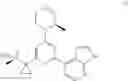 Fig. 75 - PHARMACEUTICAL PROCESS AND INTERMEDIATES