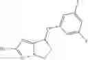 Fig. 20 - 7-phenoxy-N-(3-azabicyclo[3.2.1]octan-8-yl-6,7-dihydro-5H-pyrrolo[1,2-b][1,2,4]triazol-2-amine derivatives and related compounds as gamma- secretase modulators for the treatment of alzheimer's disease