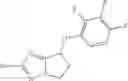 Fig. 22 - 7-phenoxy-N-(3-azabicyclo[3.2.1]octan-8-yl-6,7-dihydro-5H-pyrrolo[1,2-b][1,2,4]triazol-2-amine derivatives and related compounds as gamma- secretase modulators for the treatment of alzheimer's disease