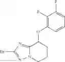 Fig. 35 - 7-phenoxy-N-(3-azabicyclo[3.2.1]octan-8-yl-6,7-dihydro-5H-pyrrolo[1,2-b][1,2,4]triazol-2-amine derivatives and related compounds as gamma- secretase modulators for the treatment of alzheimer's disease