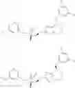 Fig. 47 - 7-phenoxy-N-(3-azabicyclo[3.2.1]octan-8-yl-6,7-dihydro-5H-pyrrolo[1,2-b][1,2,4]triazol-2-amine derivatives and related compounds as gamma- secretase modulators for the treatment of alzheimer's disease