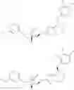 Fig. 49 - 7-phenoxy-N-(3-azabicyclo[3.2.1]octan-8-yl-6,7-dihydro-5H-pyrrolo[1,2-b][1,2,4]triazol-2-amine derivatives and related compounds as gamma- secretase modulators for the treatment of alzheimer's disease