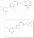 Fig. 199 - NUCLEAR TRANSPORT MODULATORS AND USES THEREOF