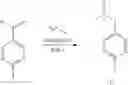 Fig. 232 - NUCLEAR TRANSPORT MODULATORS AND USES THEREOF