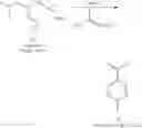 Fig. 241 - NUCLEAR TRANSPORT MODULATORS AND USES THEREOF