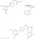 Fig. 258 - NUCLEAR TRANSPORT MODULATORS AND USES THEREOF