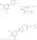 Fig. 259 - NUCLEAR TRANSPORT MODULATORS AND USES THEREOF