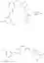 Fig. 287 - NUCLEAR TRANSPORT MODULATORS AND USES THEREOF