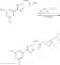 Fig. 309 - NUCLEAR TRANSPORT MODULATORS AND USES THEREOF