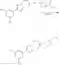 Fig. 312 - NUCLEAR TRANSPORT MODULATORS AND USES THEREOF