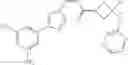 Fig. 368 - NUCLEAR TRANSPORT MODULATORS AND USES THEREOF