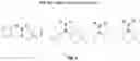 Fig. 02 - METHODS OF PREPARATION OF AMINOBORANES AND APPLICATIONS FOR BORYLATION AND SUZUKI COUPLING