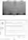 Fig. 06 - Method for separating and purifying recombinant human fibronectin from genetically engineered rice seed