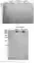 Fig. 10 - Method for separating and purifying recombinant human fibronectin from genetically engineered rice seed