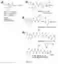 Fig. 08 - Third generation tubulysin analogues and process of preparation thereof