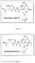 Fig. 10 - Muramyl peptide derivatives