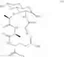 Fig. 19 - Muramyl peptide derivatives