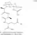 Fig. 20 - Muramyl peptide derivatives
