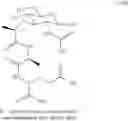 Fig. 22 - Muramyl peptide derivatives