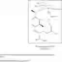 Fig. 26 - Muramyl peptide derivatives
