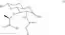 Fig. 29 - Muramyl peptide derivatives