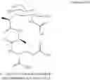 Fig. 31 - Muramyl peptide derivatives