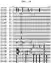 Fig. 03 - PLANT DERIVED INSECTICIDAL PROTEINS AND METHODS FOR THEIR USE