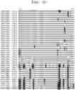 Fig. 05 - PLANT DERIVED INSECTICIDAL PROTEINS AND METHODS FOR THEIR USE