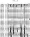 Fig. 06 - PLANT DERIVED INSECTICIDAL PROTEINS AND METHODS FOR THEIR USE